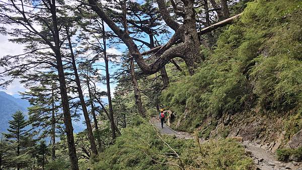 【玉山西峰北峰】兩天一夜玉山西峰+北峰挑戰主北叉路魔王坡! 【玉山西峰北峰】兩天一夜玉山西峰+北峰挑戰主北叉路魔王坡!