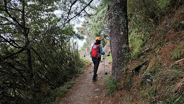 【玉山西峰北峰】兩天一夜玉山西峰+北峰挑戰主北叉路魔王坡! 【玉山西峰北峰】兩天一夜玉山西峰+北峰挑戰主北叉路魔王坡!