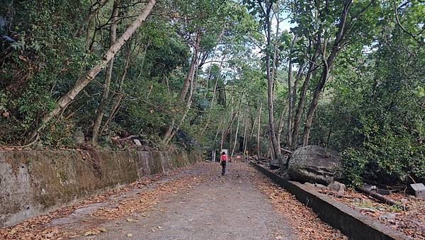 【屋東縱走】屋我尾/東卯山大崩壁-谷關七雄一日2雄挑戰(麗陽