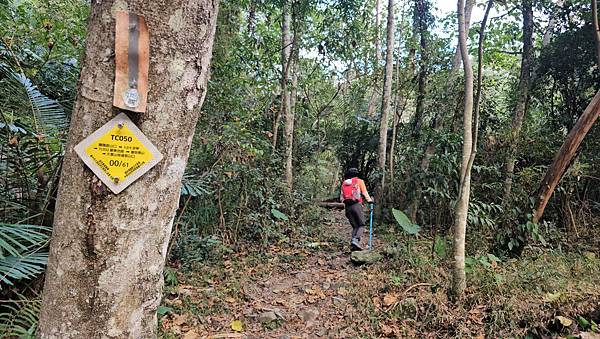 【屋東縱走】屋我尾/東卯山大崩壁-谷關七雄一日2雄挑戰(麗陽