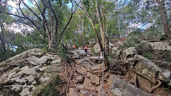 【屋東縱走】屋我尾/東卯山大崩壁-谷關七雄一日2雄挑戰(麗陽