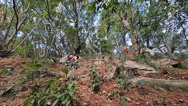 【屋東縱走】屋我尾/東卯山大崩壁-谷關七雄一日2雄挑戰(麗陽