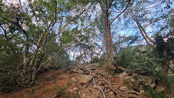 【屋東縱走】屋我尾/東卯山大崩壁-谷關七雄一日2雄挑戰(麗陽