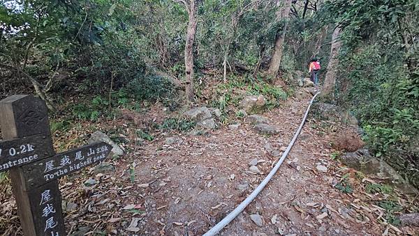 【屋東縱走】屋我尾/東卯山大崩壁-谷關七雄一日2雄挑戰(麗陽