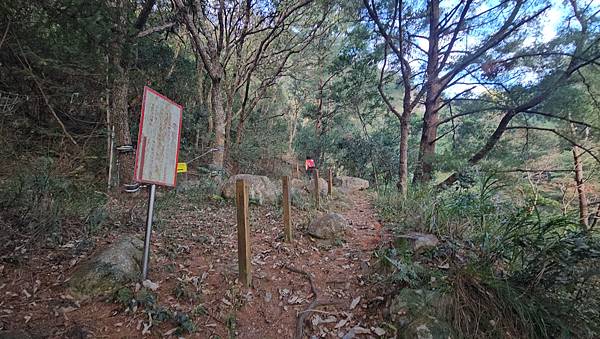 【屋東縱走】屋我尾/東卯山大崩壁-谷關七雄一日2雄挑戰(麗陽