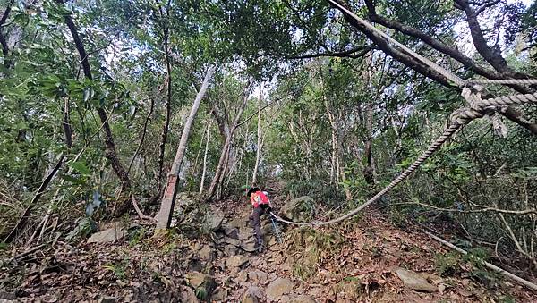 【屋東縱走】屋我尾/東卯山大崩壁-谷關七雄一日2雄挑戰(麗陽