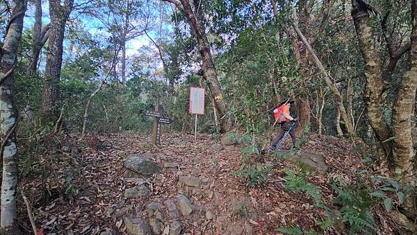 【屋東縱走】屋我尾/東卯山大崩壁-谷關七雄一日2雄挑戰(麗陽