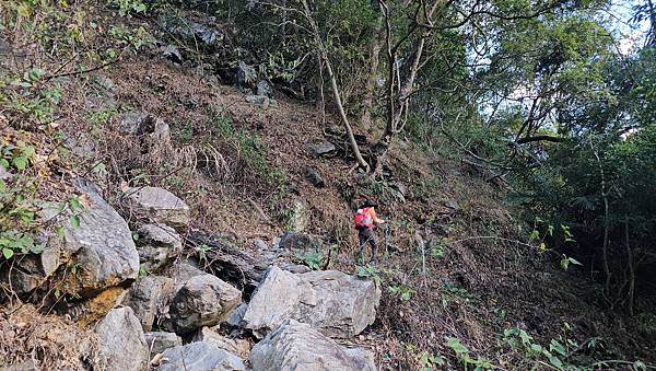 【屋東縱走】屋我尾/東卯山大崩壁-谷關七雄一日2雄挑戰(麗陽