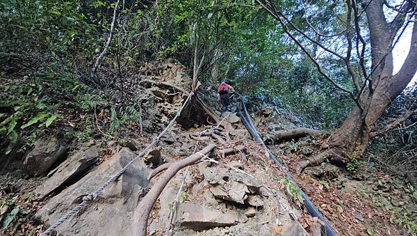 【屋東縱走】屋我尾/東卯山大崩壁-谷關七雄一日2雄挑戰(麗陽