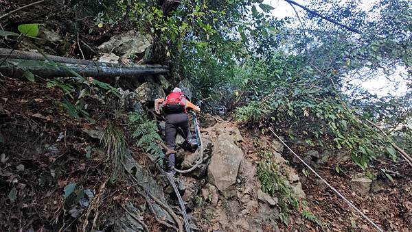 【屋東縱走】屋我尾/東卯山大崩壁-谷關七雄一日2雄挑戰(麗陽
