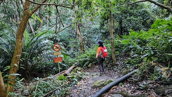 【屋東縱走】屋我尾/東卯山大崩壁-谷關七雄一日2雄挑戰(麗陽