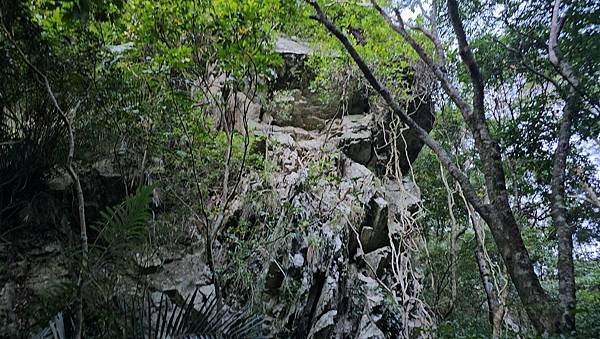 【屋東縱走】屋我尾/東卯山大崩壁-谷關七雄一日2雄挑戰(麗陽