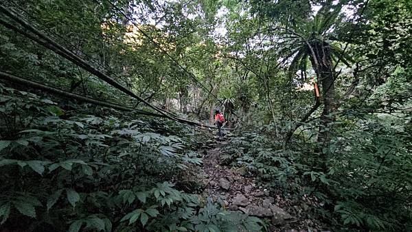 【屋東縱走】屋我尾/東卯山大崩壁-谷關七雄一日2雄挑戰(麗陽