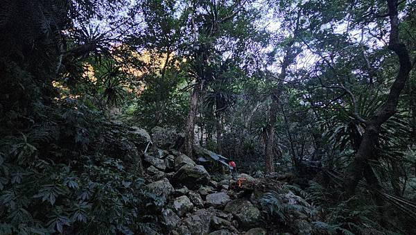 【屋東縱走】屋我尾/東卯山大崩壁-谷關七雄一日2雄挑戰(麗陽