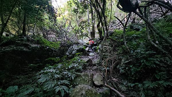 【屋東縱走】屋我尾/東卯山大崩壁-谷關七雄一日2雄挑戰(麗陽