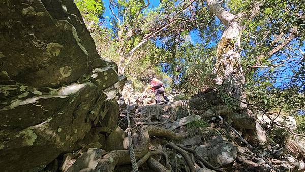 【屋東縱走】屋我尾/東卯山大崩壁-谷關七雄一日2雄挑戰(麗陽