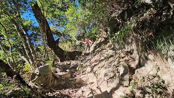 【屋東縱走】屋我尾/東卯山大崩壁-谷關七雄一日2雄挑戰(麗陽