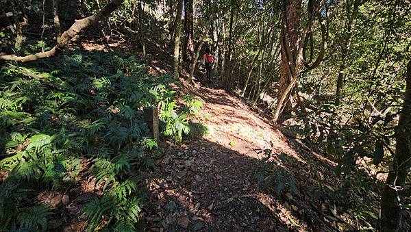 【屋東縱走】屋我尾/東卯山大崩壁-谷關七雄一日2雄挑戰(麗陽