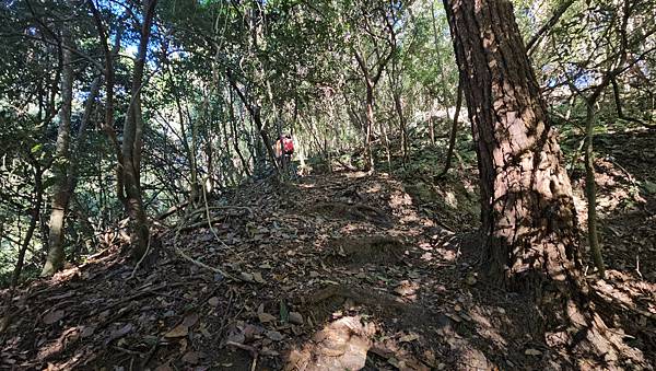 【屋東縱走】屋我尾/東卯山大崩壁-谷關七雄一日2雄挑戰(麗陽
