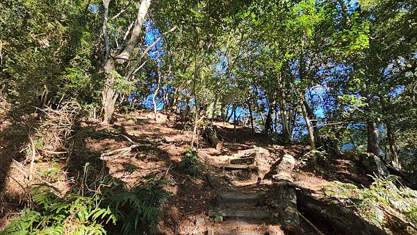 【屋東縱走】屋我尾/東卯山大崩壁-谷關七雄一日2雄挑戰(麗陽