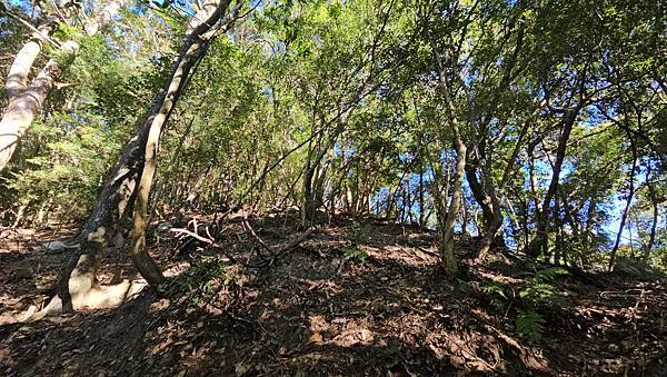 【屋東縱走】屋我尾/東卯山大崩壁-谷關七雄一日2雄挑戰(麗陽