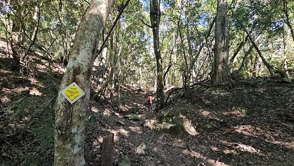 【屋東縱走】屋我尾/東卯山大崩壁-谷關七雄一日2雄挑戰(麗陽