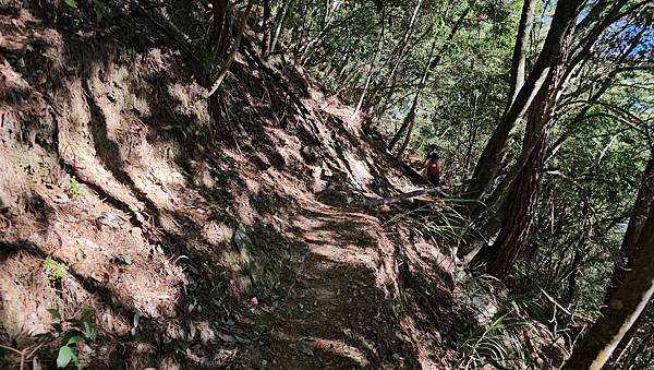 【屋東縱走】屋我尾/東卯山大崩壁-谷關七雄一日2雄挑戰(麗陽