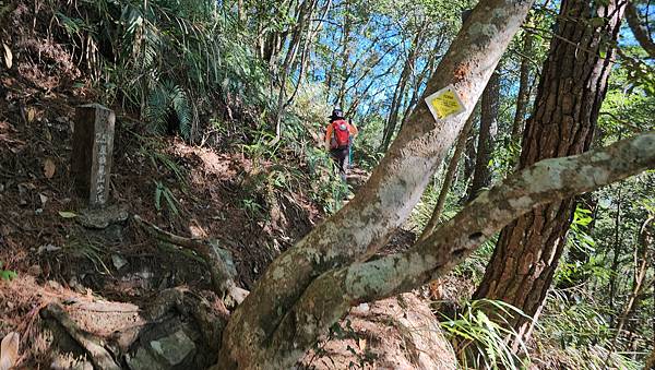 【屋東縱走】屋我尾/東卯山大崩壁-谷關七雄一日2雄挑戰(麗陽