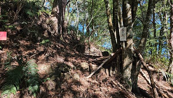 【屋東縱走】屋我尾/東卯山大崩壁-谷關七雄一日2雄挑戰(麗陽