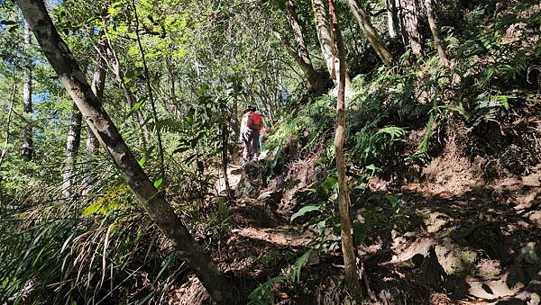 【屋東縱走】屋我尾/東卯山大崩壁-谷關七雄一日2雄挑戰(麗陽