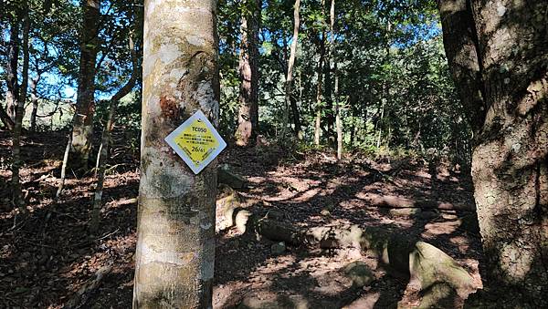 【屋東縱走】屋我尾/東卯山大崩壁-谷關七雄一日2雄挑戰(麗陽