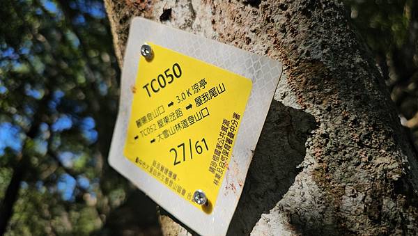 【屋東縱走】屋我尾/東卯山大崩壁-谷關七雄一日2雄挑戰(麗陽