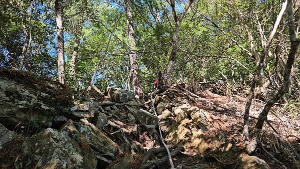 【屋東縱走】屋我尾/東卯山大崩壁-谷關七雄一日2雄挑戰(麗陽