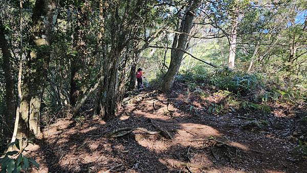 【屋東縱走】屋我尾/東卯山大崩壁-谷關七雄一日2雄挑戰(麗陽