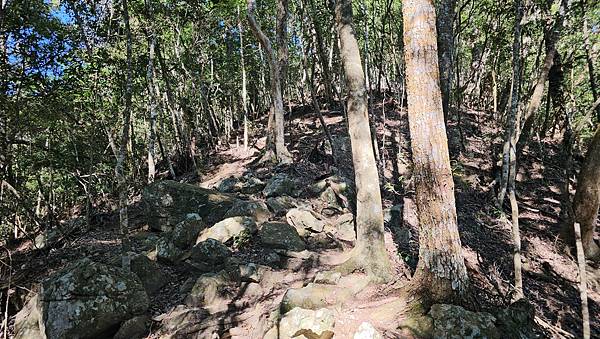 【屋東縱走】屋我尾/東卯山大崩壁-谷關七雄一日2雄挑戰(麗陽