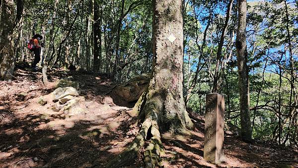 【屋東縱走】屋我尾/東卯山大崩壁-谷關七雄一日2雄挑戰(麗陽