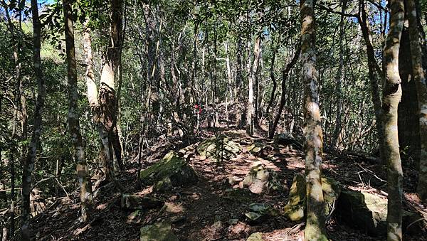 【屋東縱走】屋我尾/東卯山大崩壁-谷關七雄一日2雄挑戰(麗陽