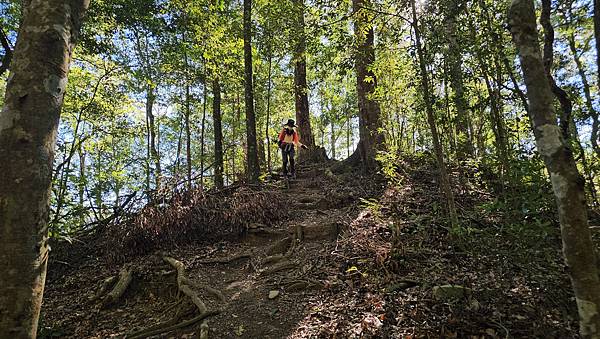 【屋東縱走】屋我尾/東卯山大崩壁-谷關七雄一日2雄挑戰(麗陽