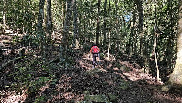 【屋東縱走】屋我尾/東卯山大崩壁-谷關七雄一日2雄挑戰(麗陽