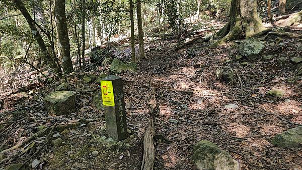 【屋東縱走】屋我尾/東卯山大崩壁-谷關七雄一日2雄挑戰(麗陽