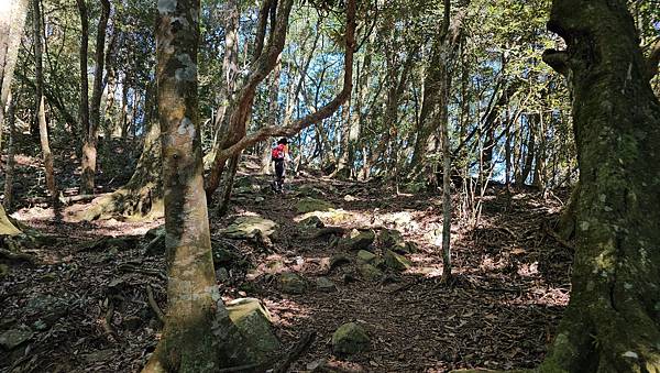 【屋東縱走】屋我尾/東卯山大崩壁-谷關七雄一日2雄挑戰(麗陽