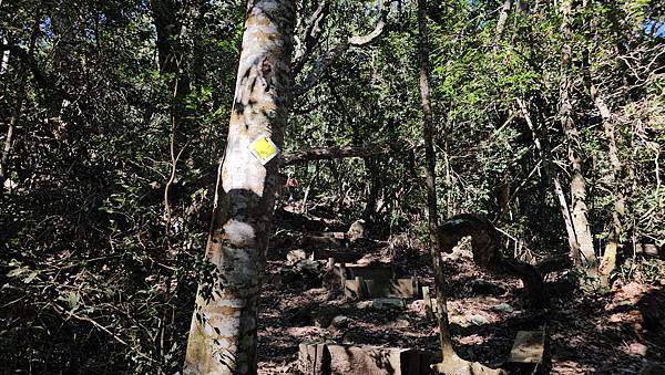 【屋東縱走】屋我尾/東卯山大崩壁-谷關七雄一日2雄挑戰(麗陽
