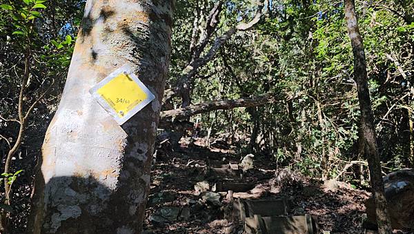 【屋東縱走】屋我尾/東卯山大崩壁-谷關七雄一日2雄挑戰(麗陽