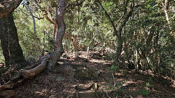 【屋東縱走】屋我尾/東卯山大崩壁-谷關七雄一日2雄挑戰(麗陽