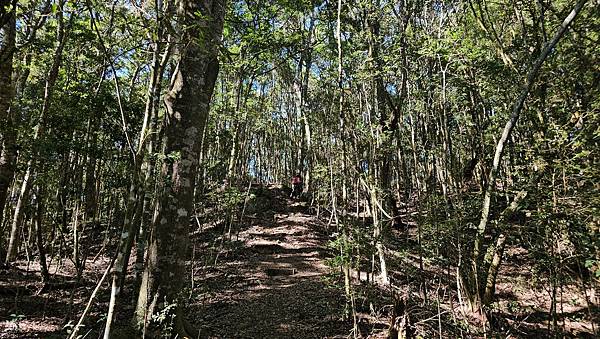 【屋東縱走】屋我尾/東卯山大崩壁-谷關七雄一日2雄挑戰(麗陽