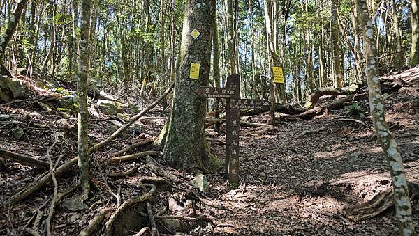 【屋東縱走】屋我尾/東卯山大崩壁-谷關七雄一日2雄挑戰(麗陽