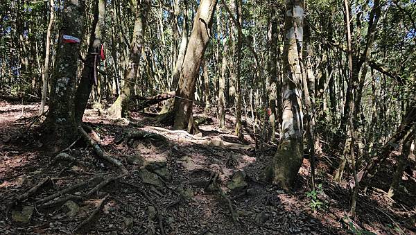 【屋東縱走】屋我尾/東卯山大崩壁-谷關七雄一日2雄挑戰(麗陽