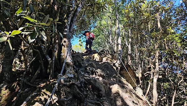 【屋東縱走】屋我尾/東卯山大崩壁-谷關七雄一日2雄挑戰(麗陽