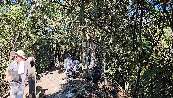 【屋東縱走】屋我尾/東卯山大崩壁-谷關七雄一日2雄挑戰(麗陽