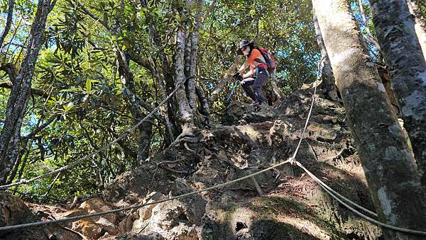 【屋東縱走】屋我尾/東卯山大崩壁-谷關七雄一日2雄挑戰(麗陽
